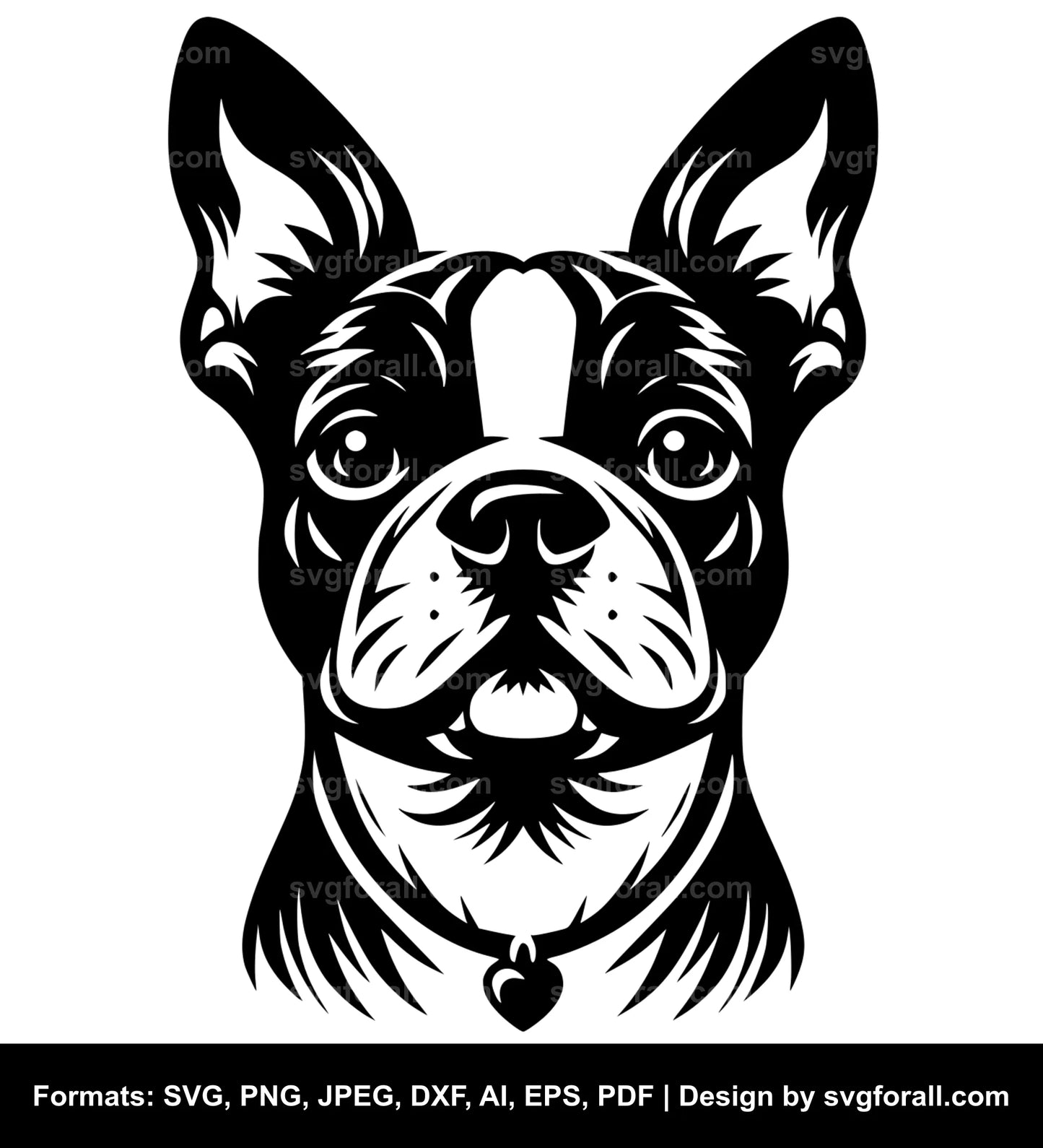 Boston Terrier Dog SVG PNG