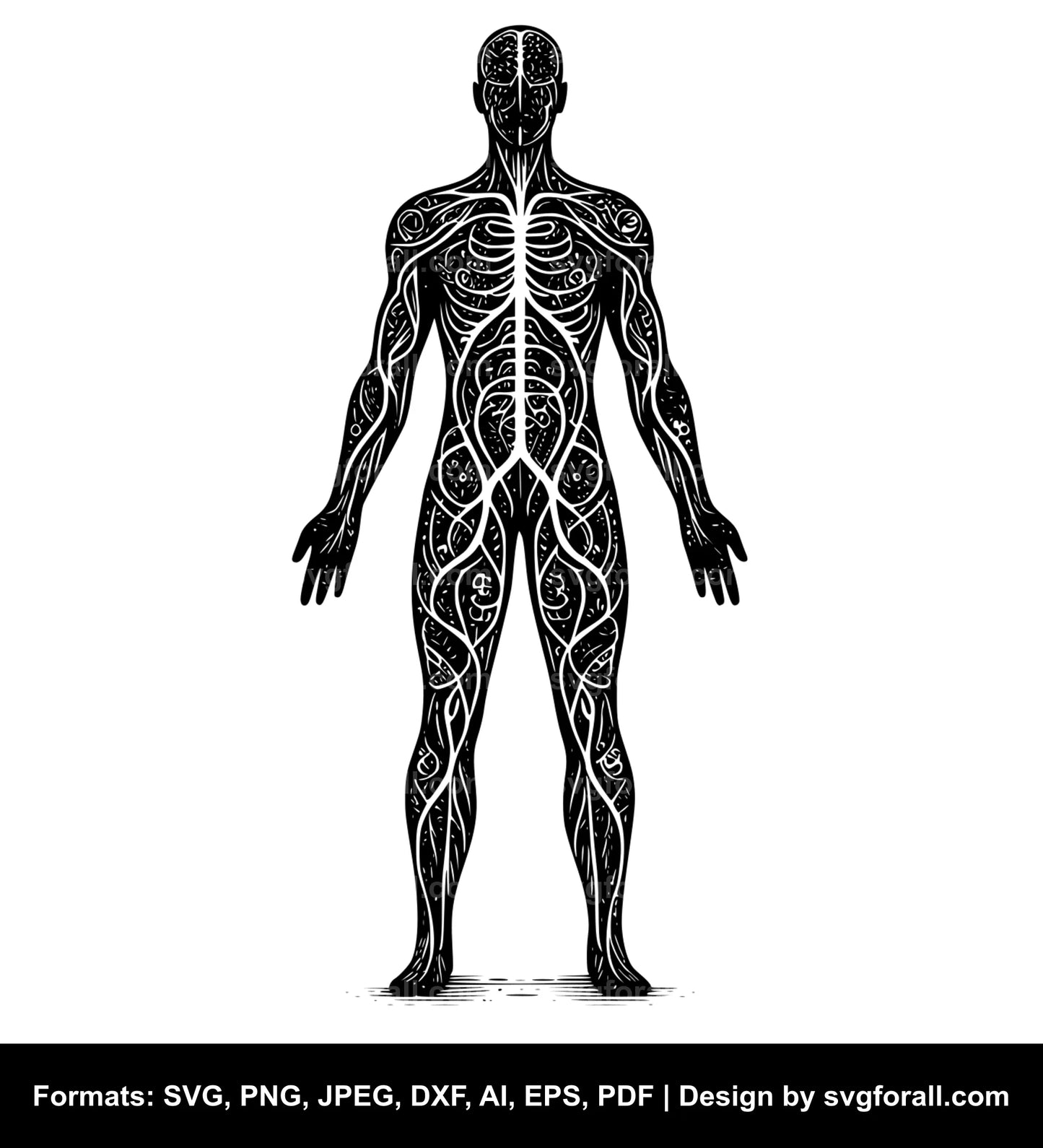 Human Body Black SVG