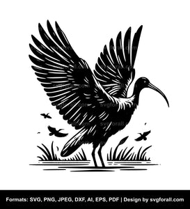 Ibis SVG