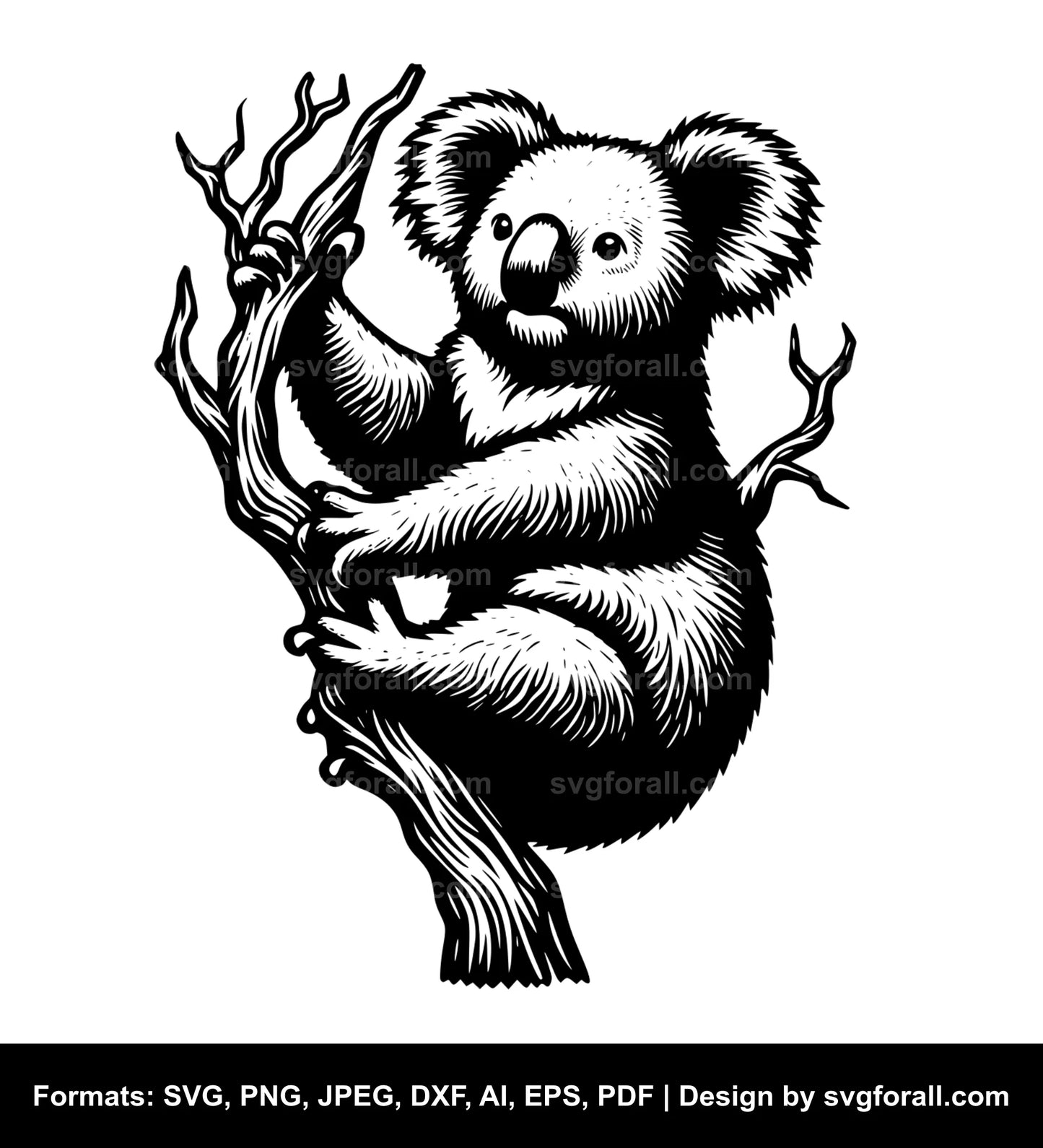 Koala SVG Download