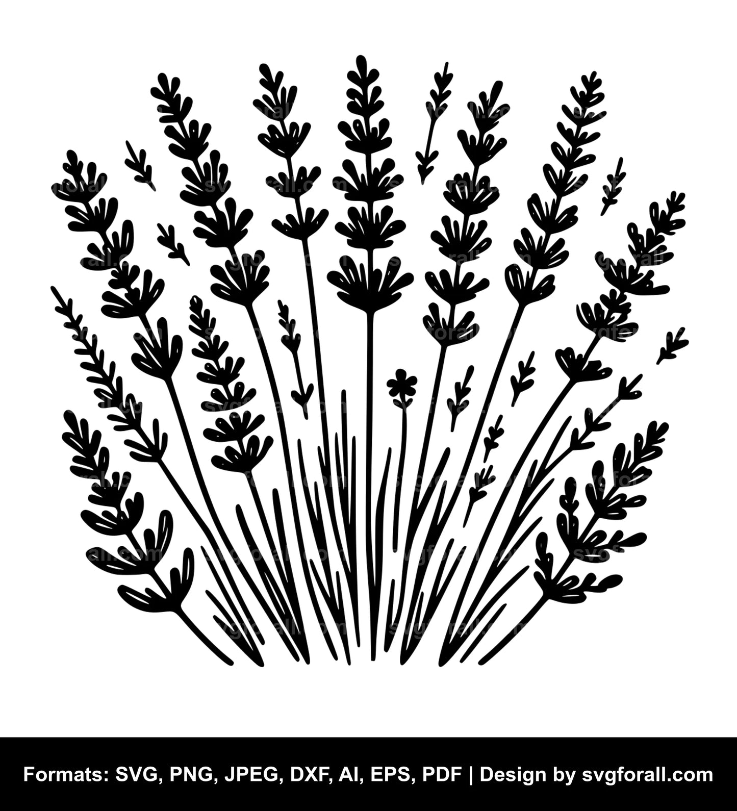 Lavender Flower SVG PNG