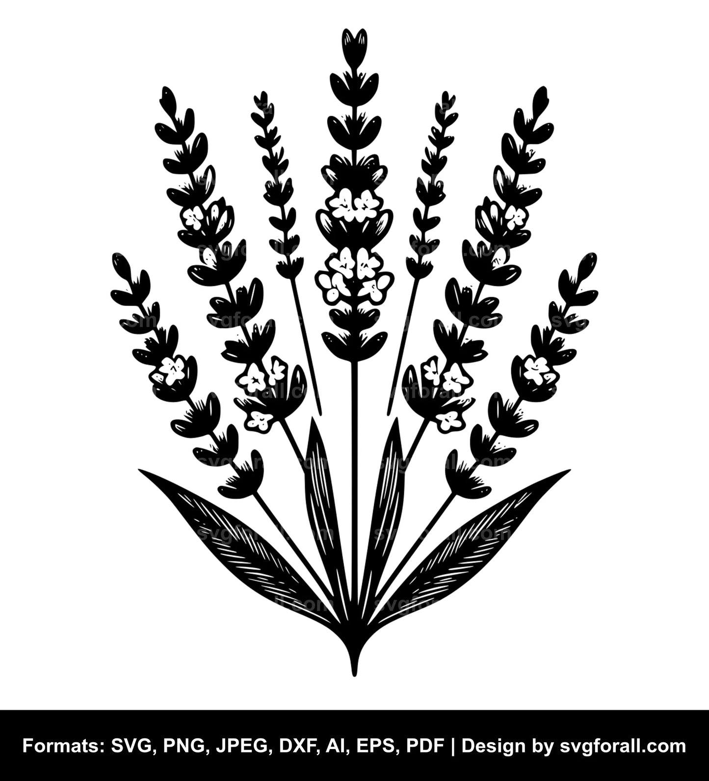 Lavender Flower Vector SVG