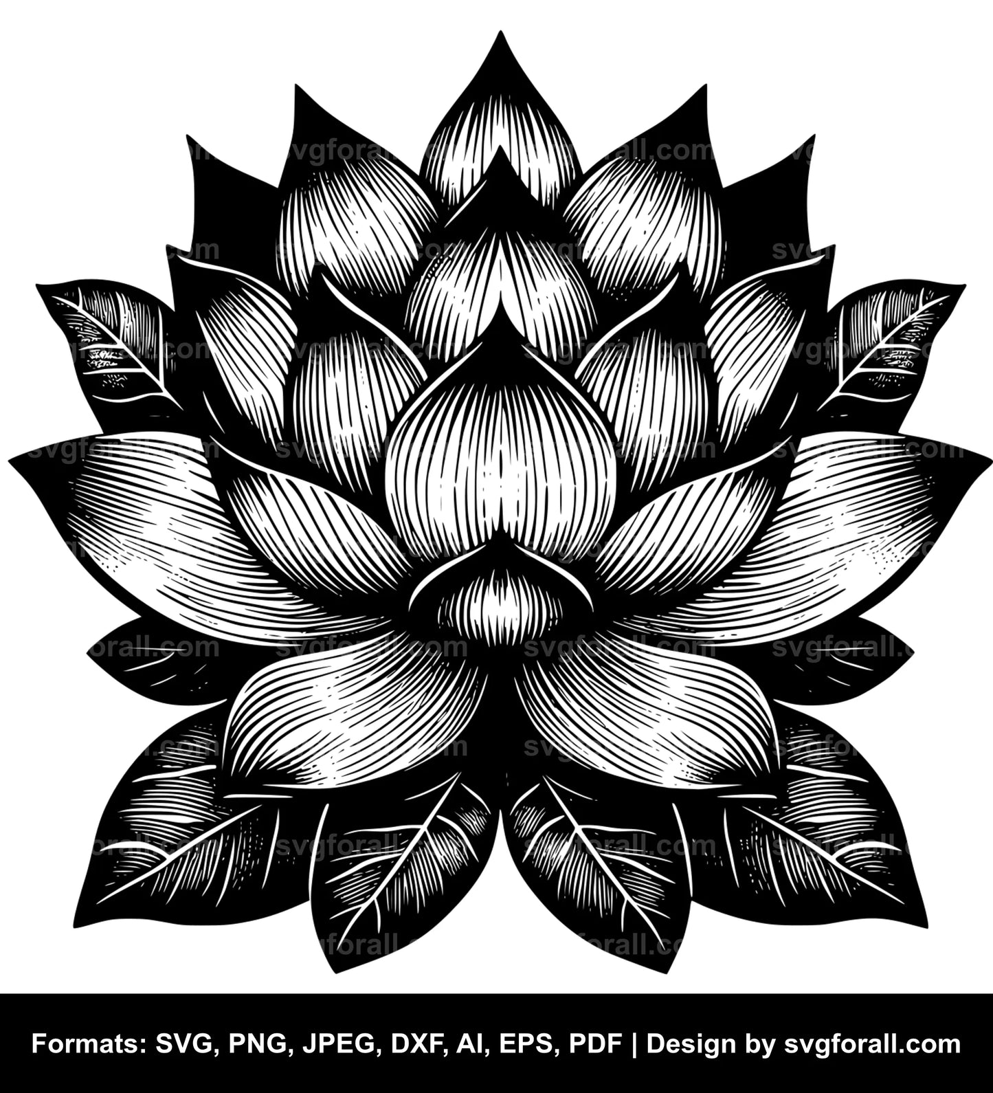 Lotus Flower SVG PNG