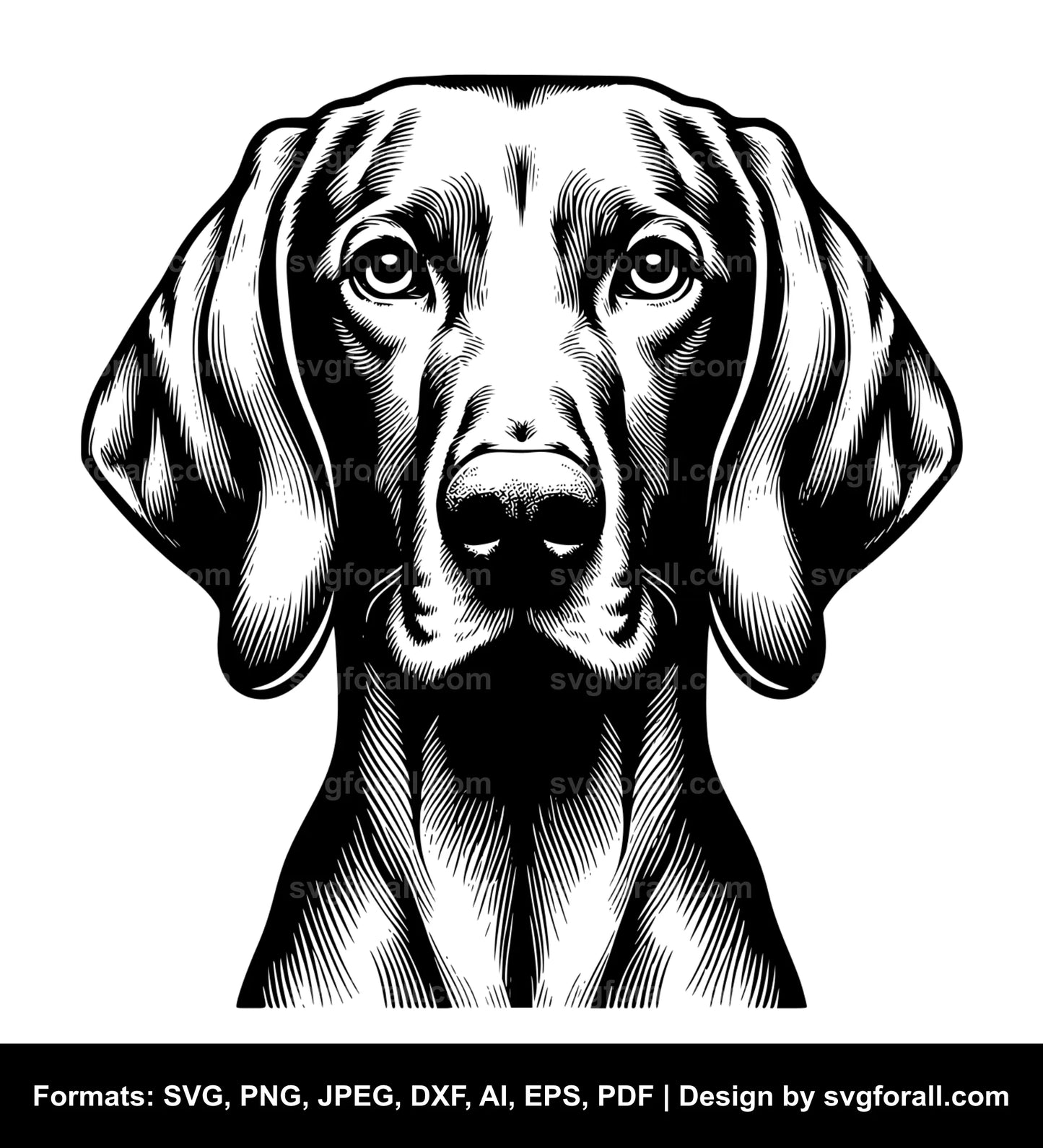 Vizsla Dog SVG