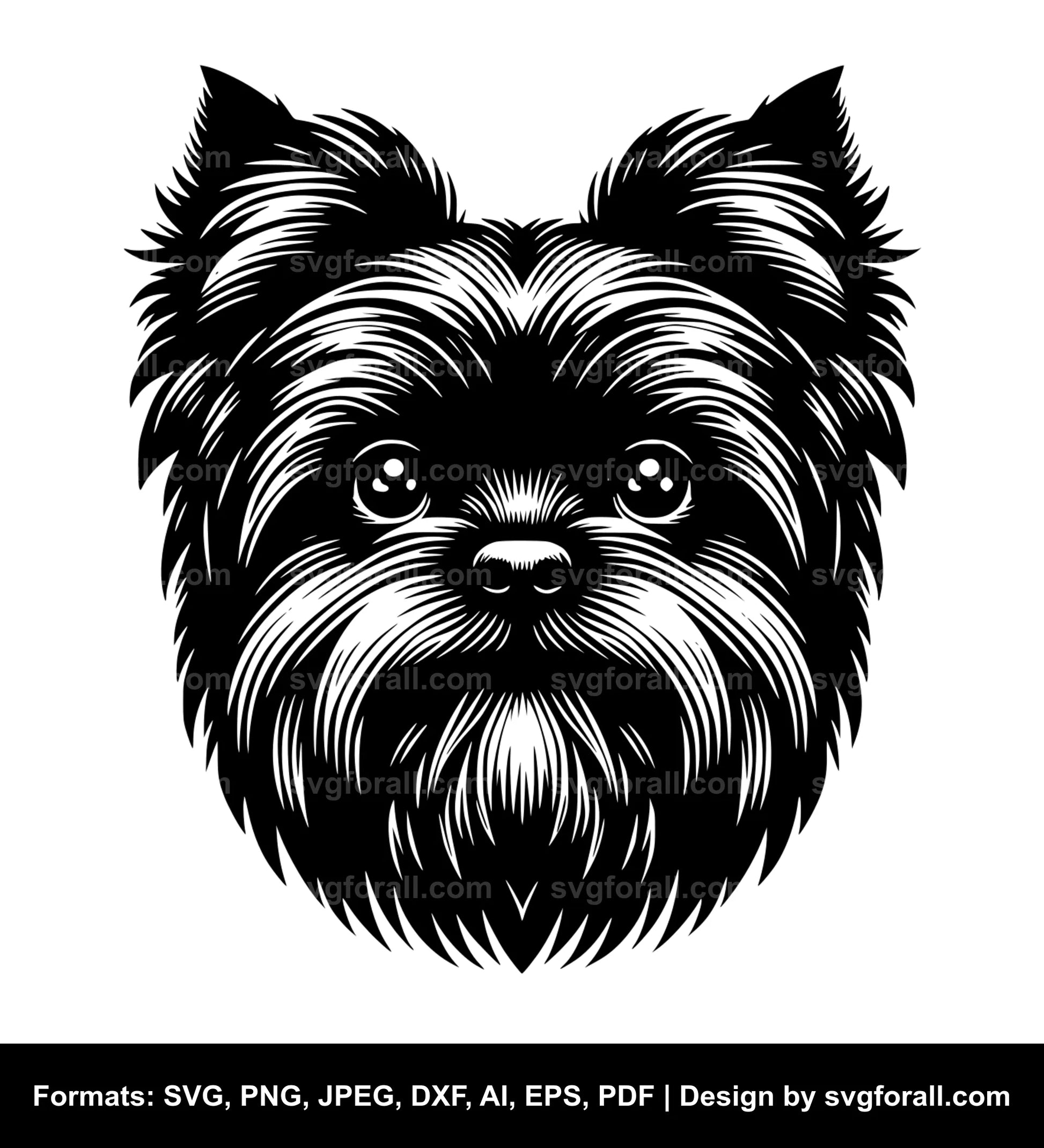 Affenpinscher Dog Vector SVG