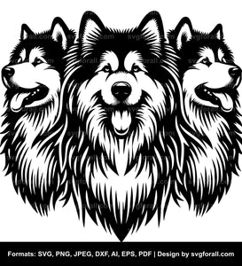 Alaskan Malamute Dog SVG