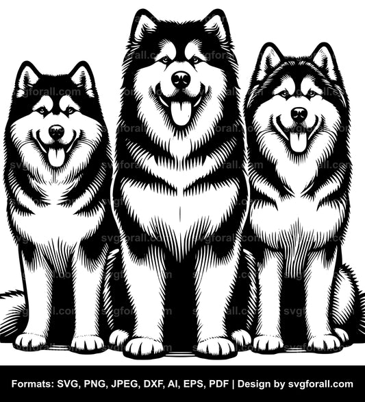 Alaskan Malamute Dog SVG Vector