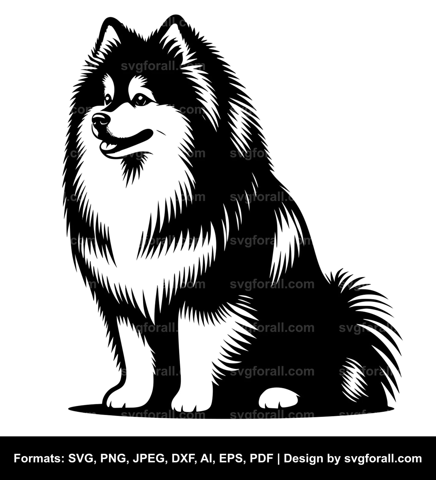 American Eskimo Dog SVG