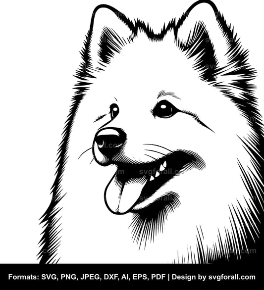 American Eskimo Dog Vector SVG