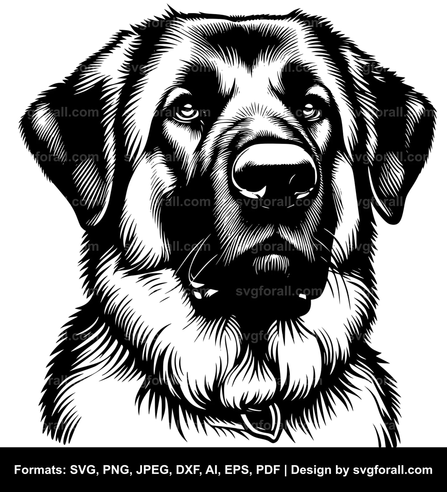 Anatolian Shepherd Dog Cricut SVG