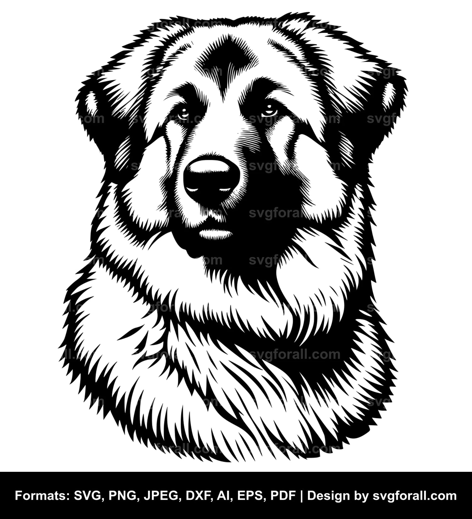 Anatolian Shepherd Dog SVG Design