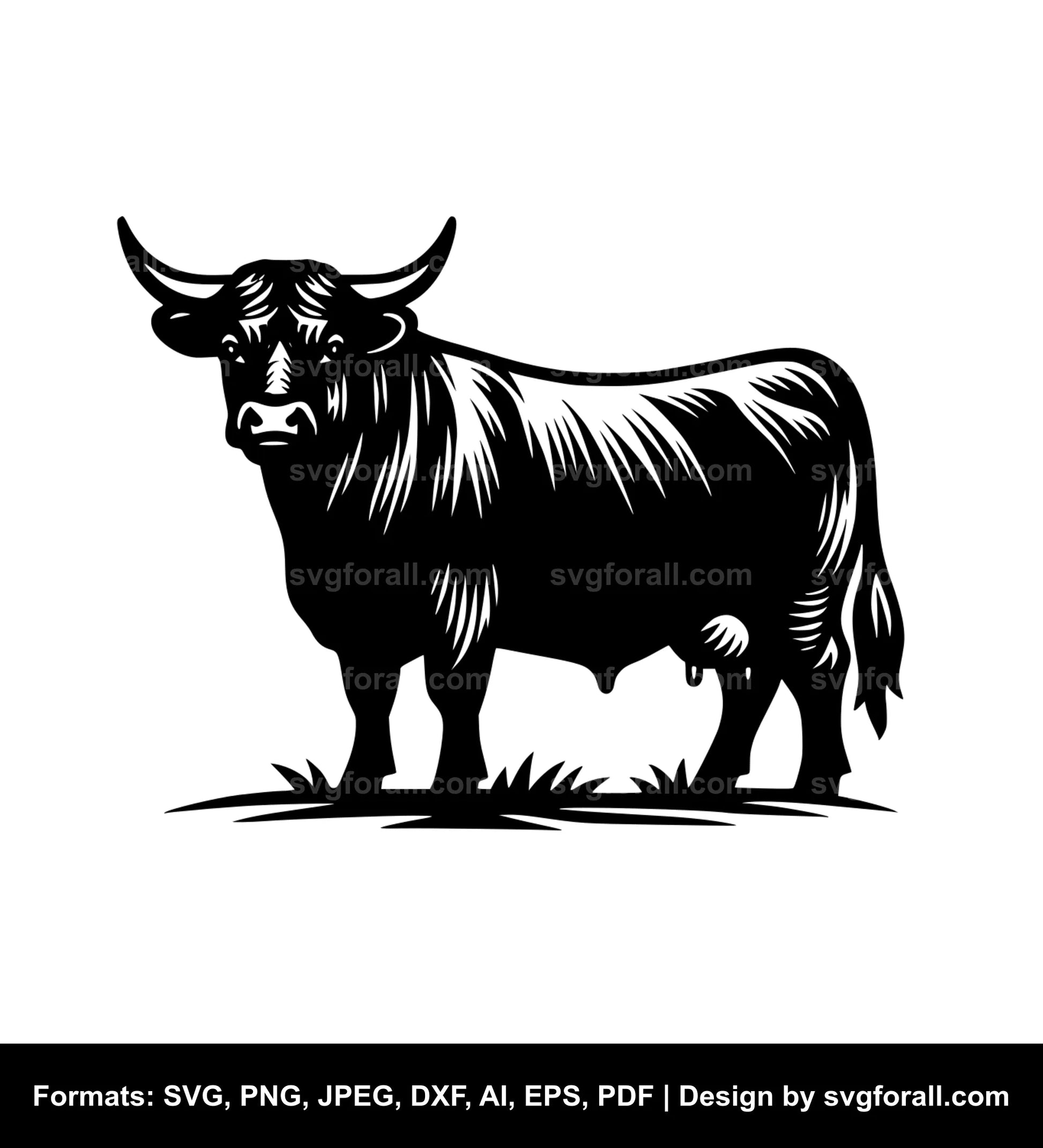 Angus Cow SVG