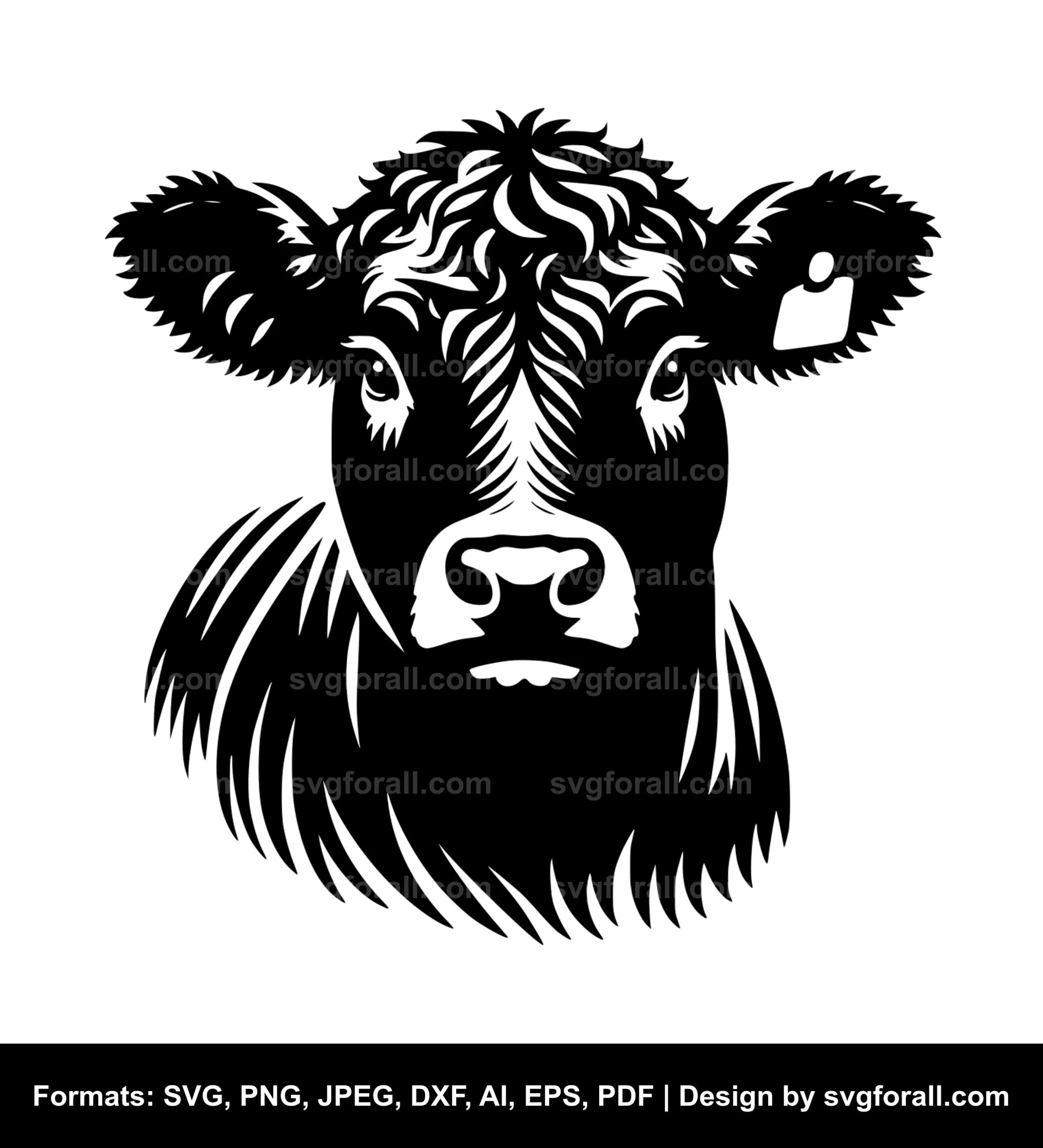 Angus Cow SVG Vector