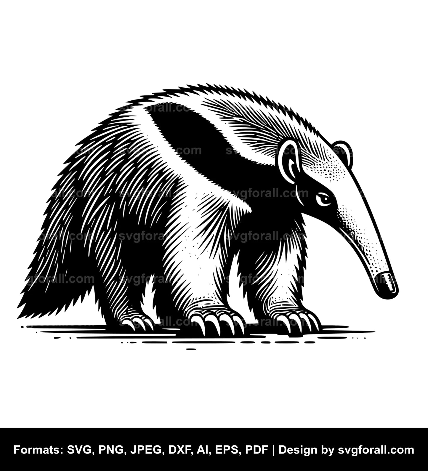 Anteater Cricut SVG