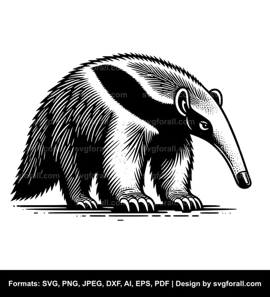 Anteater Cricut SVG