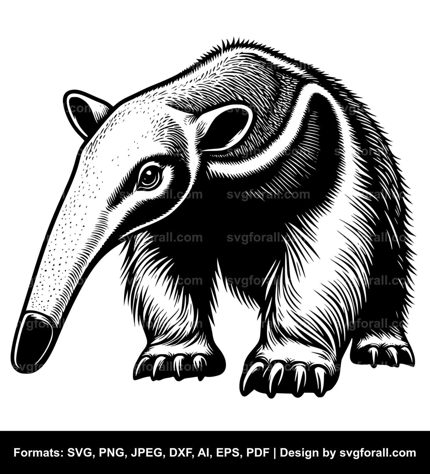 Anteater SVG File