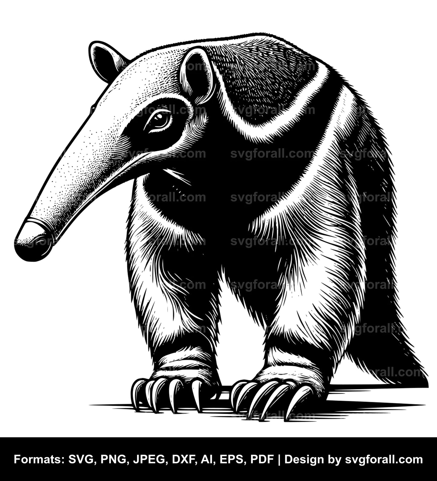 Anteater SVG PNG