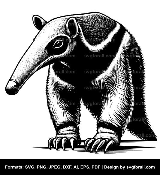 Anteater SVG PNG