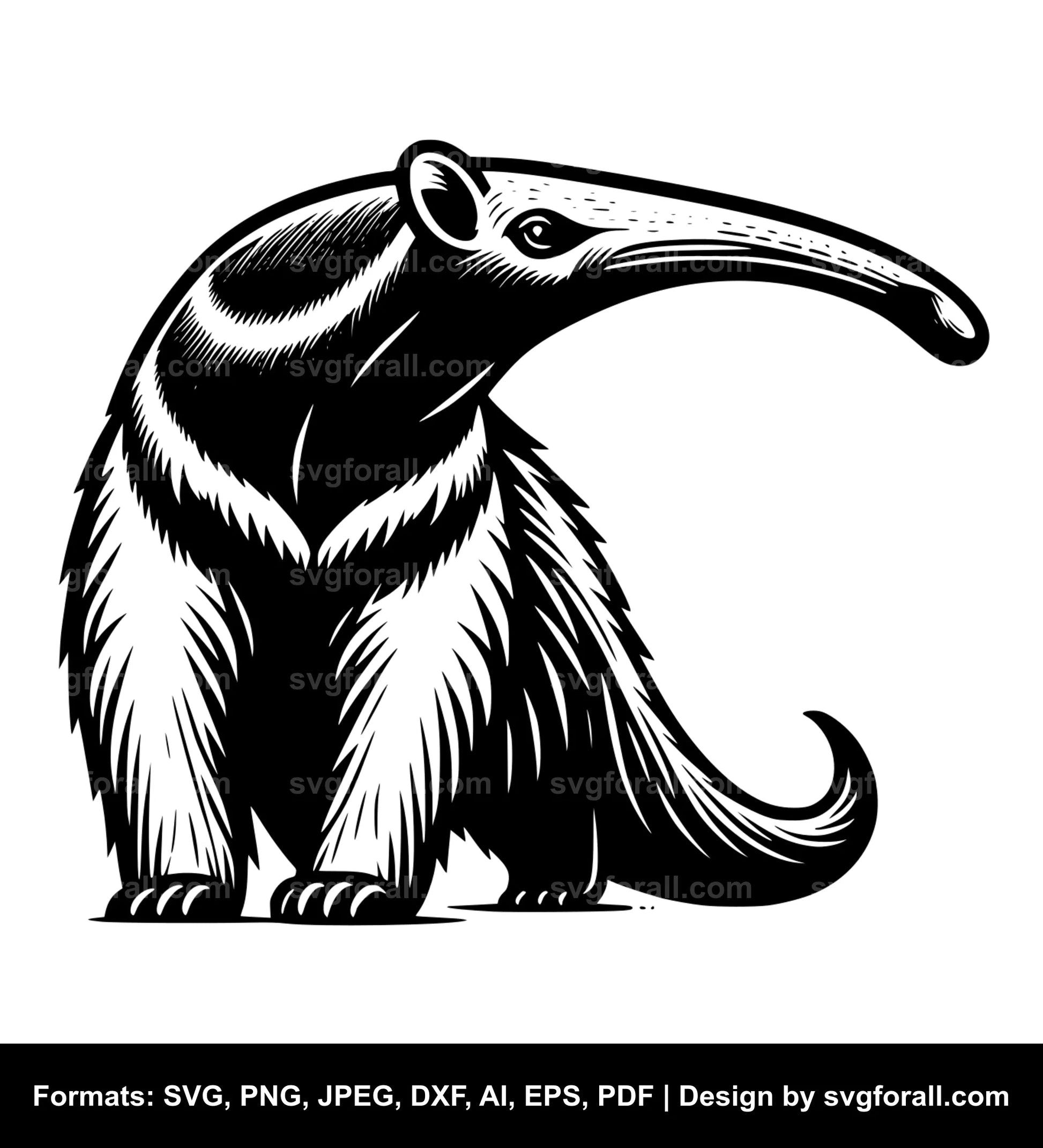 Anteater SVG Vector