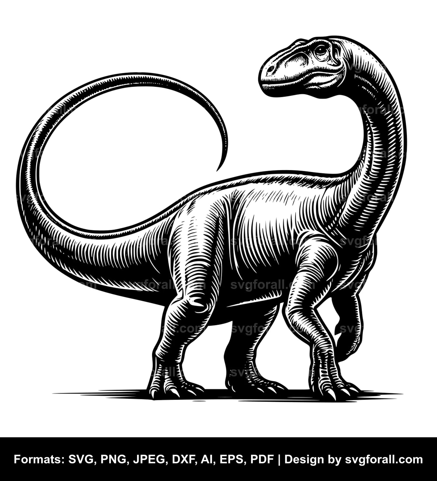 Apatosaurus SVG File