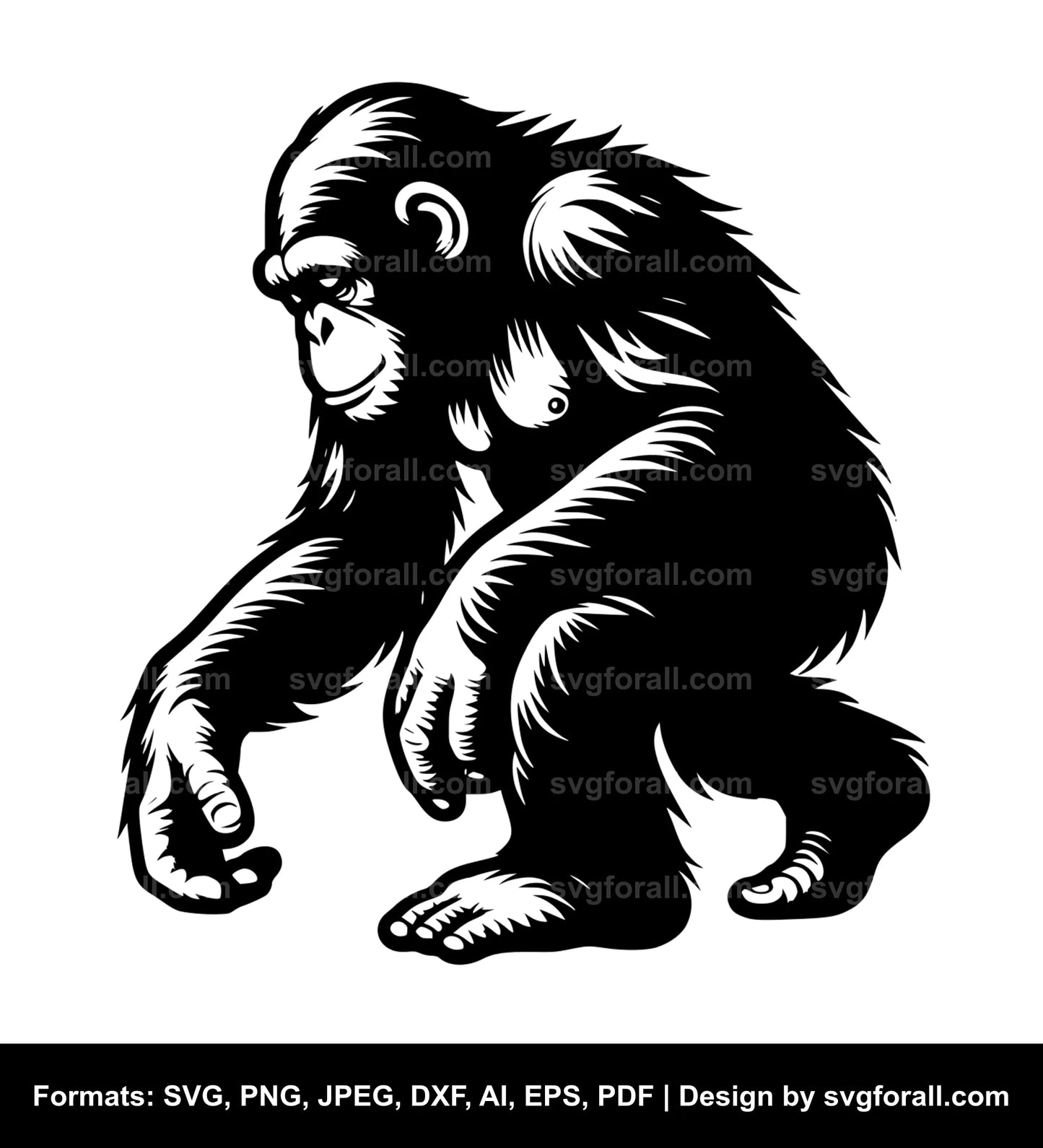 Ape SVG PNG