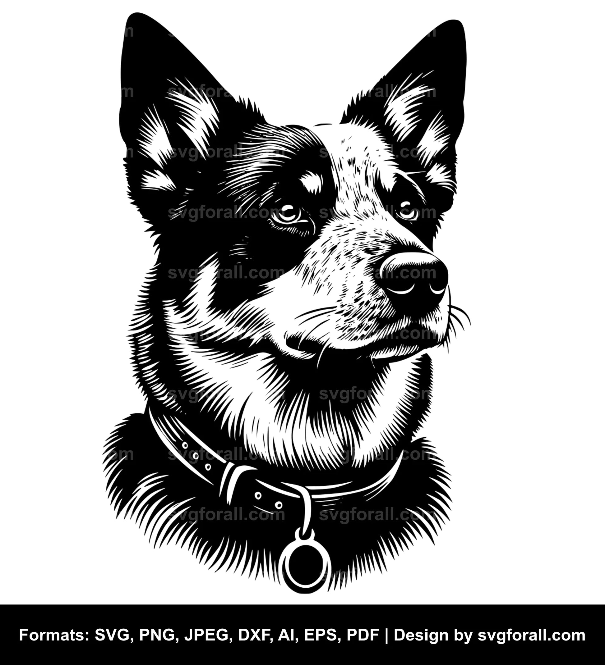 Australian Cattle Dog SVG