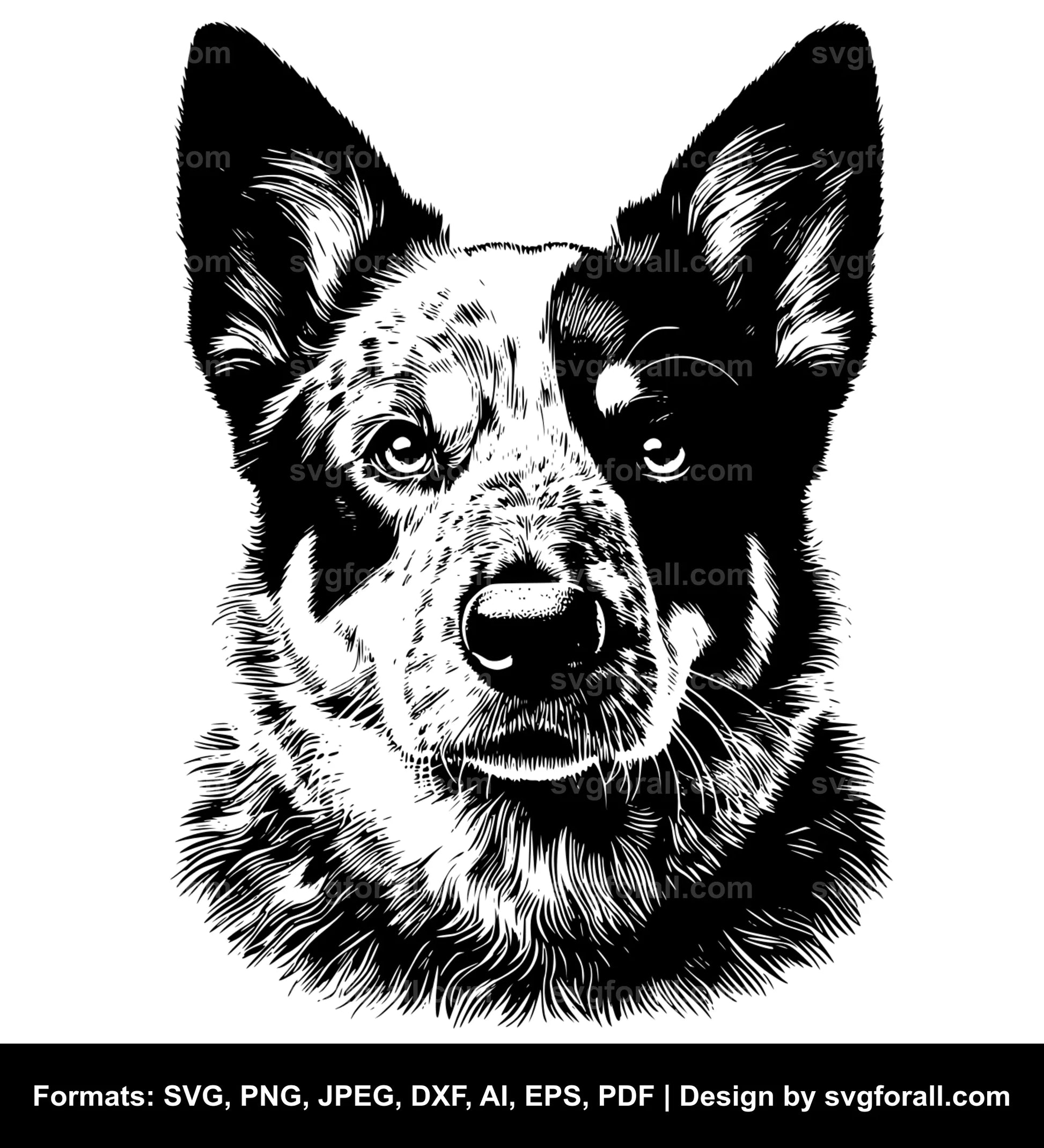 Australian Cattle Dog SVG File