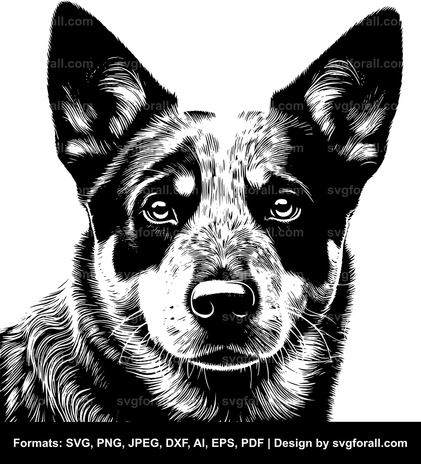 Australian Cattle Dog SVG Vector