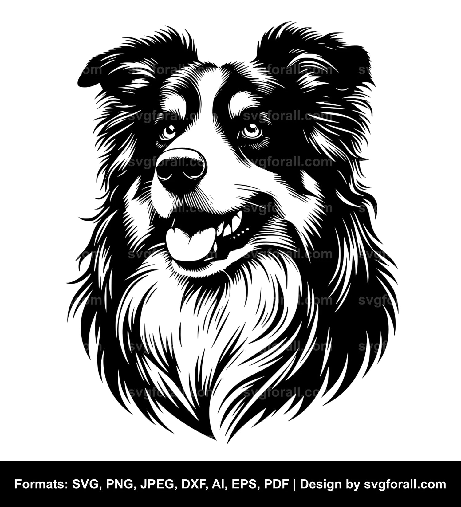 Australian Shepherd Dog SVG Design