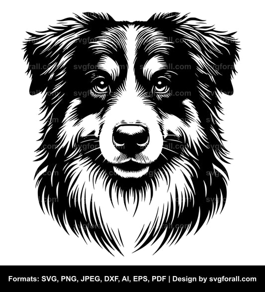 Australian Shepherd Dog SVG Vector