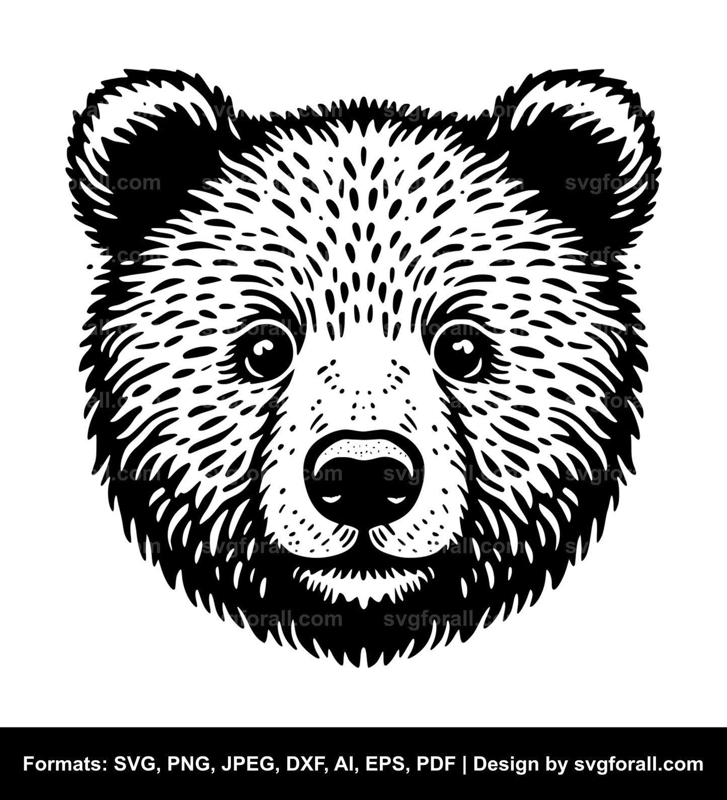 Baby Bear Face Vector SVG