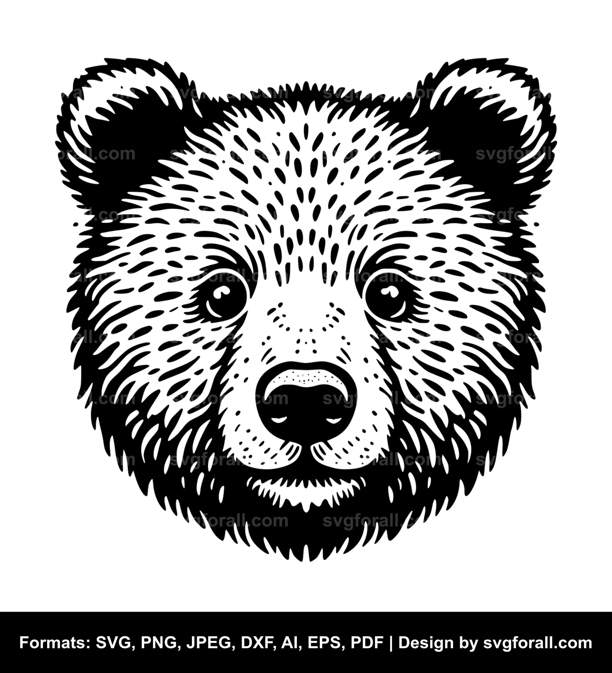 Baby Bear Face Vector SVG