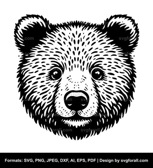 Baby Bear Face Vector SVG