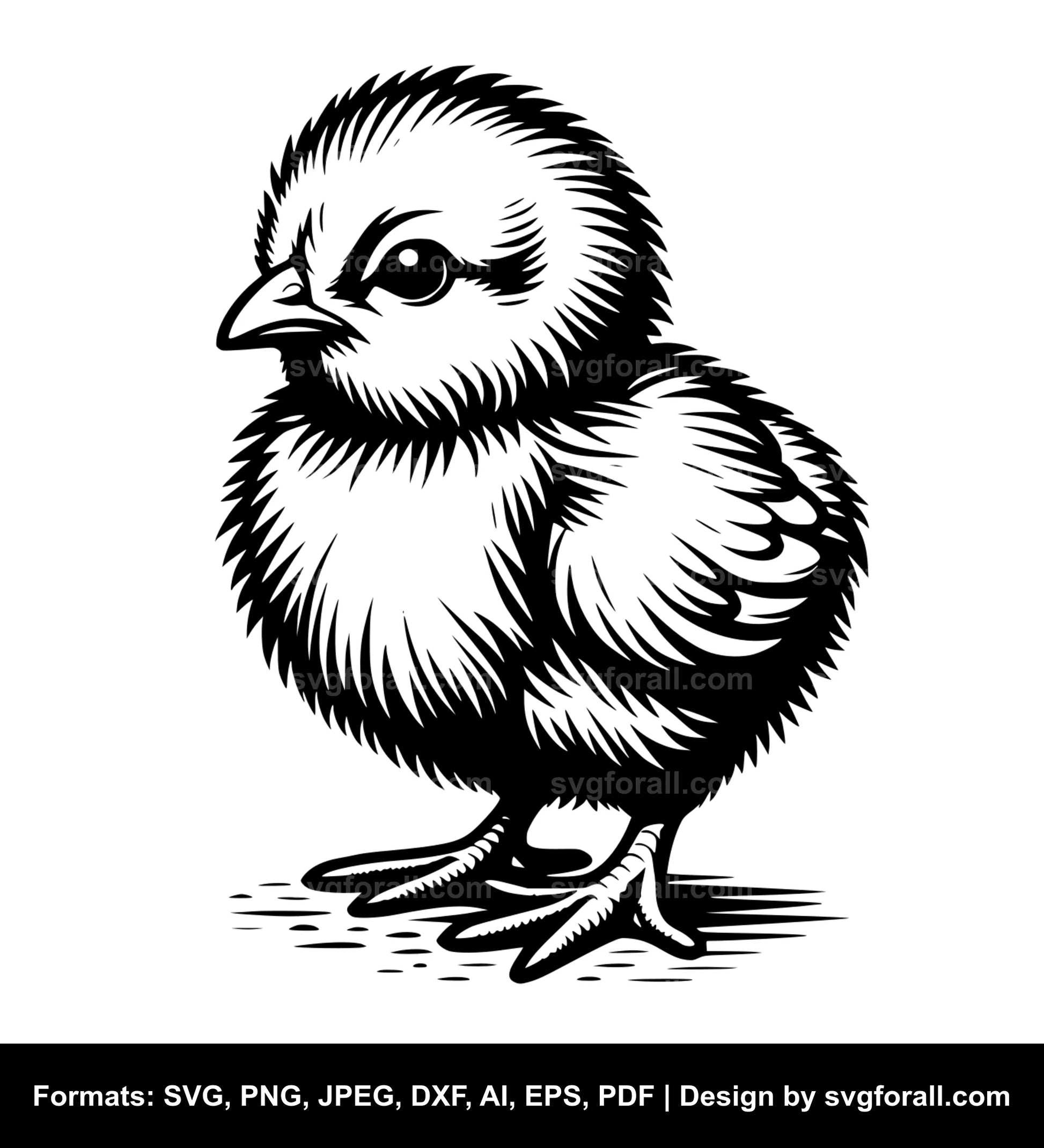 Baby Chick Black SVG