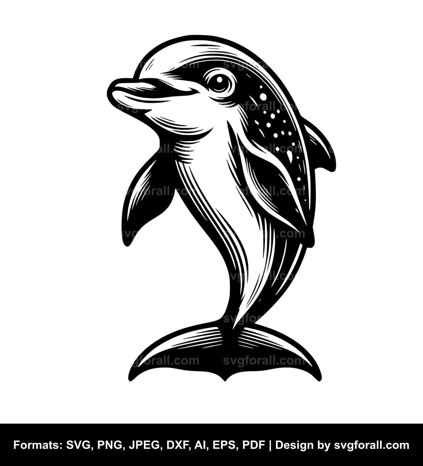 Baby Dolphin SVG Design