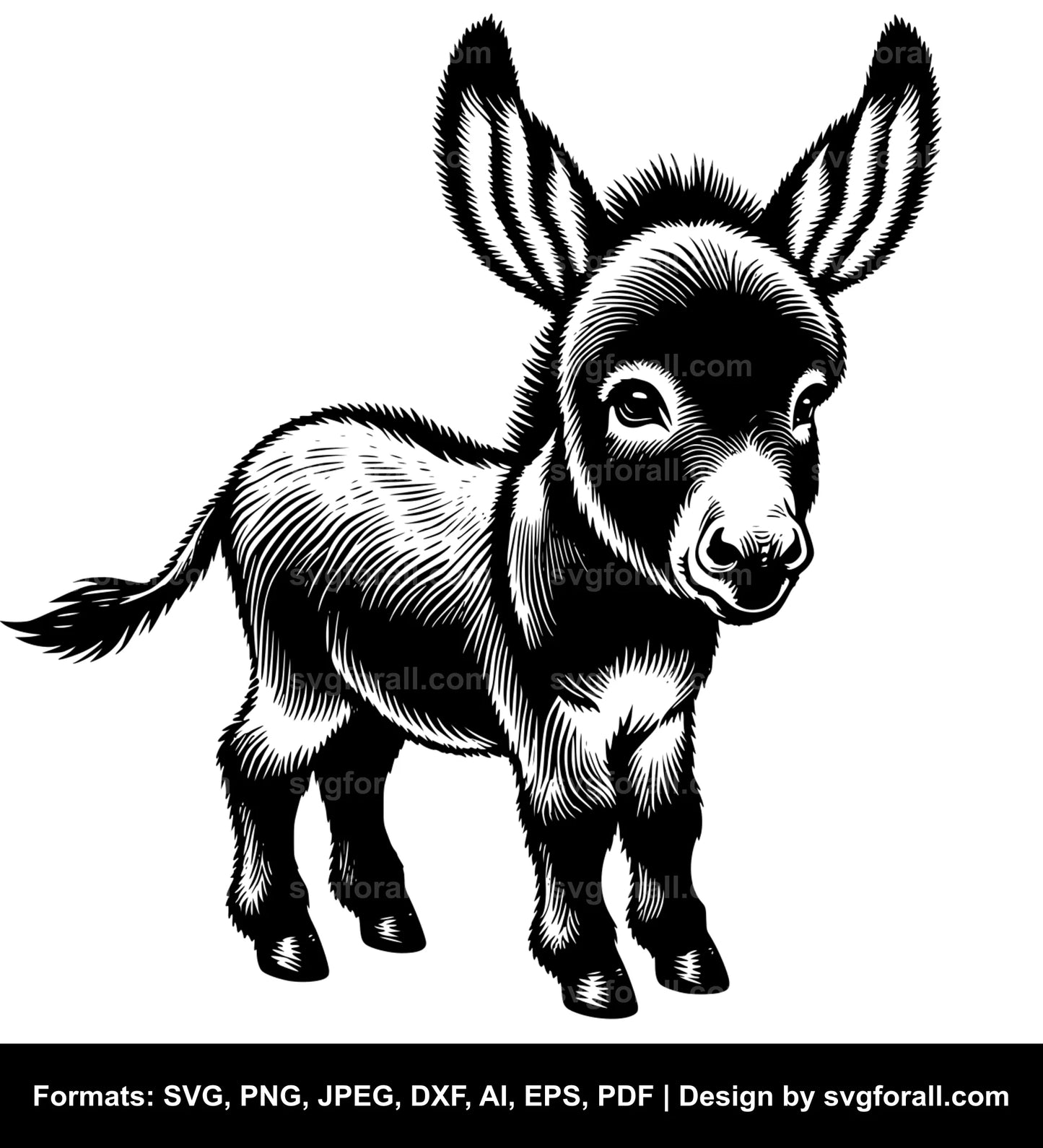 Baby Donkey Black SVG