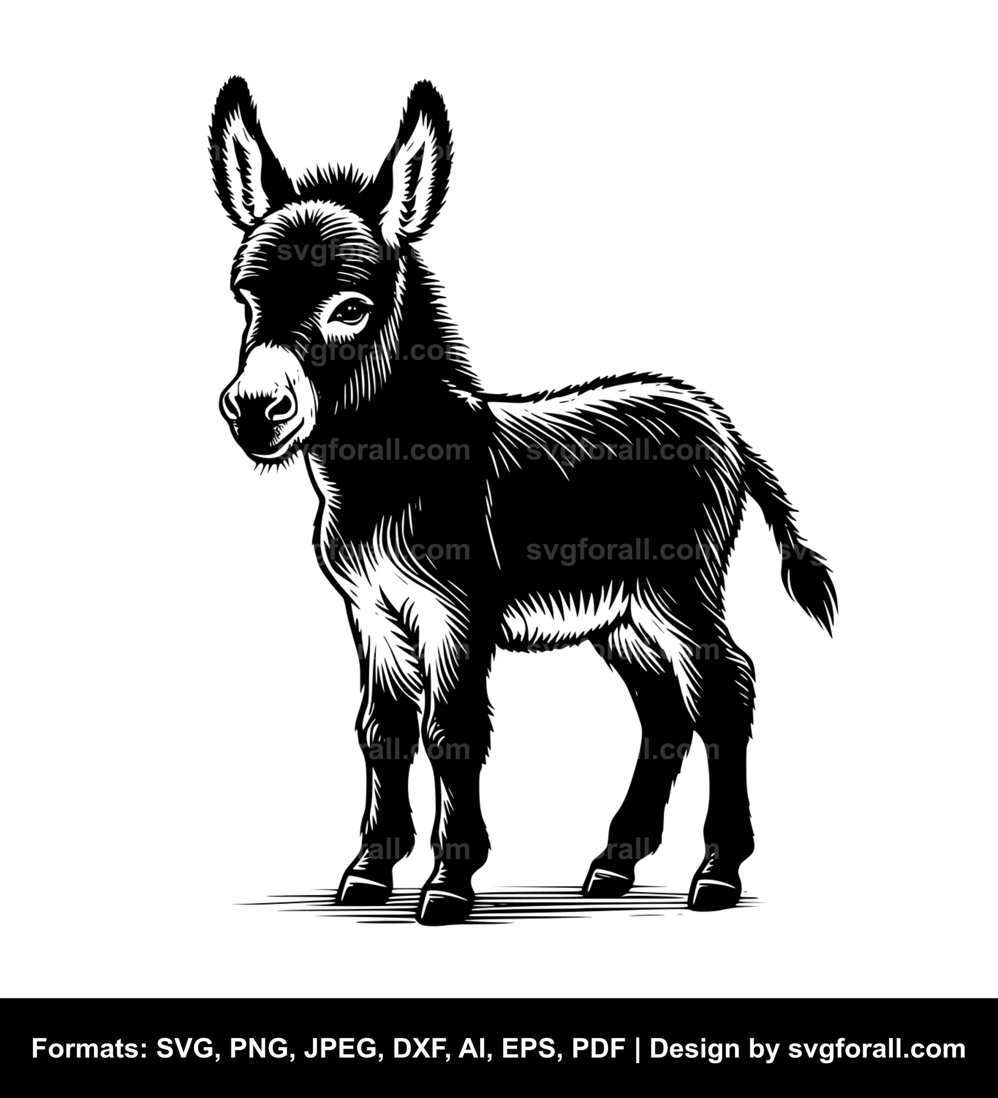 Baby Donkey SVG File