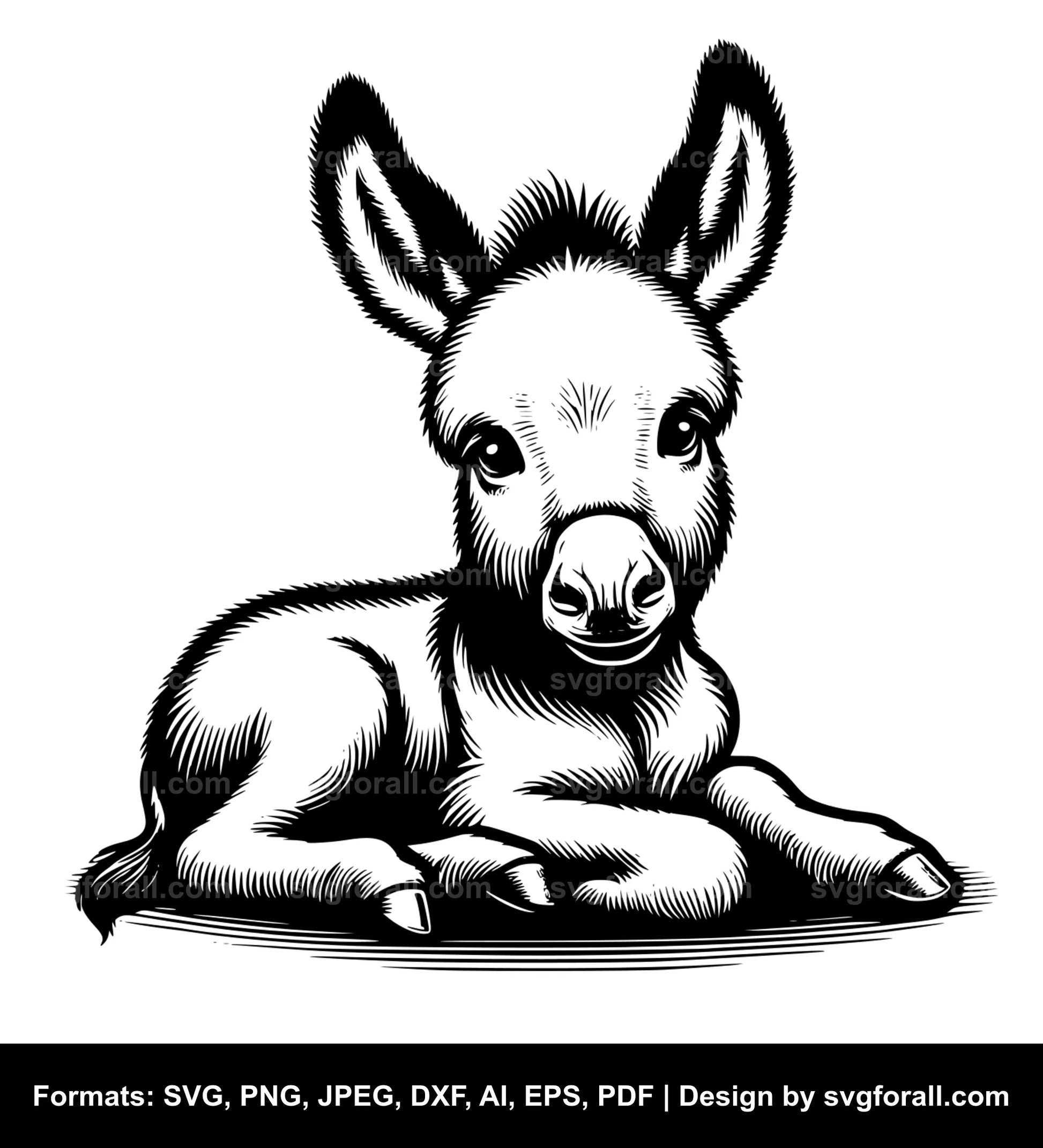 Baby Donkey SVG Vector