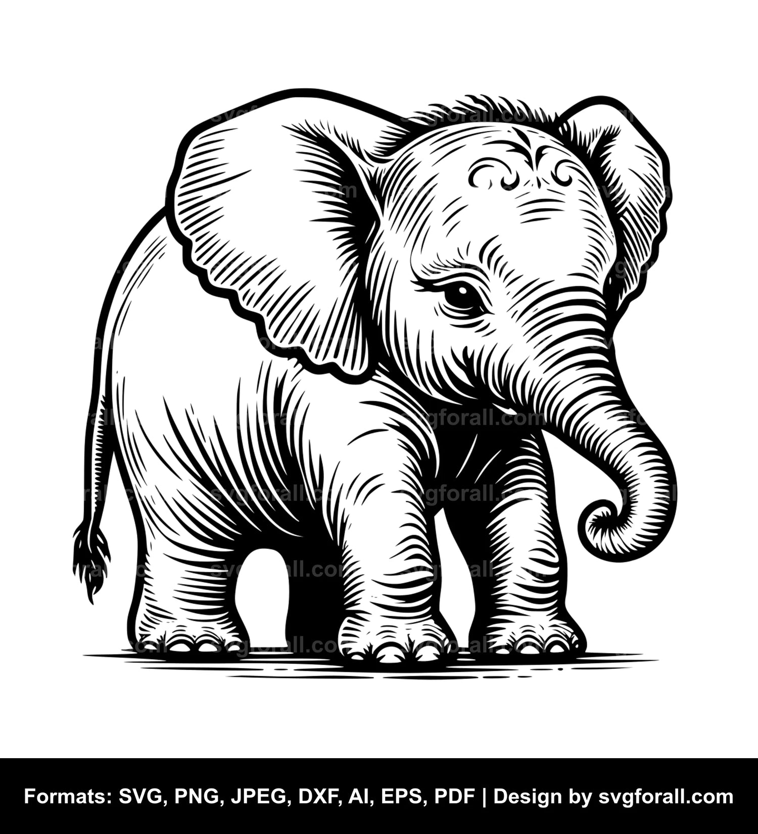 Baby Elephant SVG Design