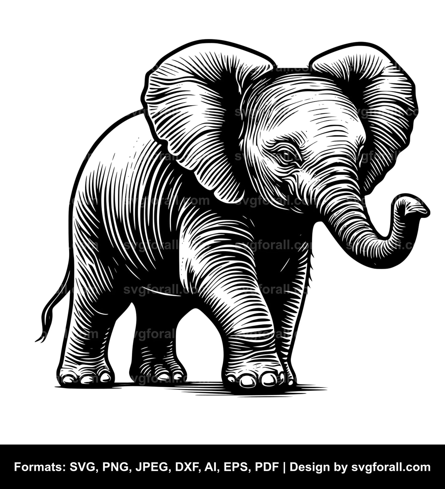 Baby Elephant SVG Vector