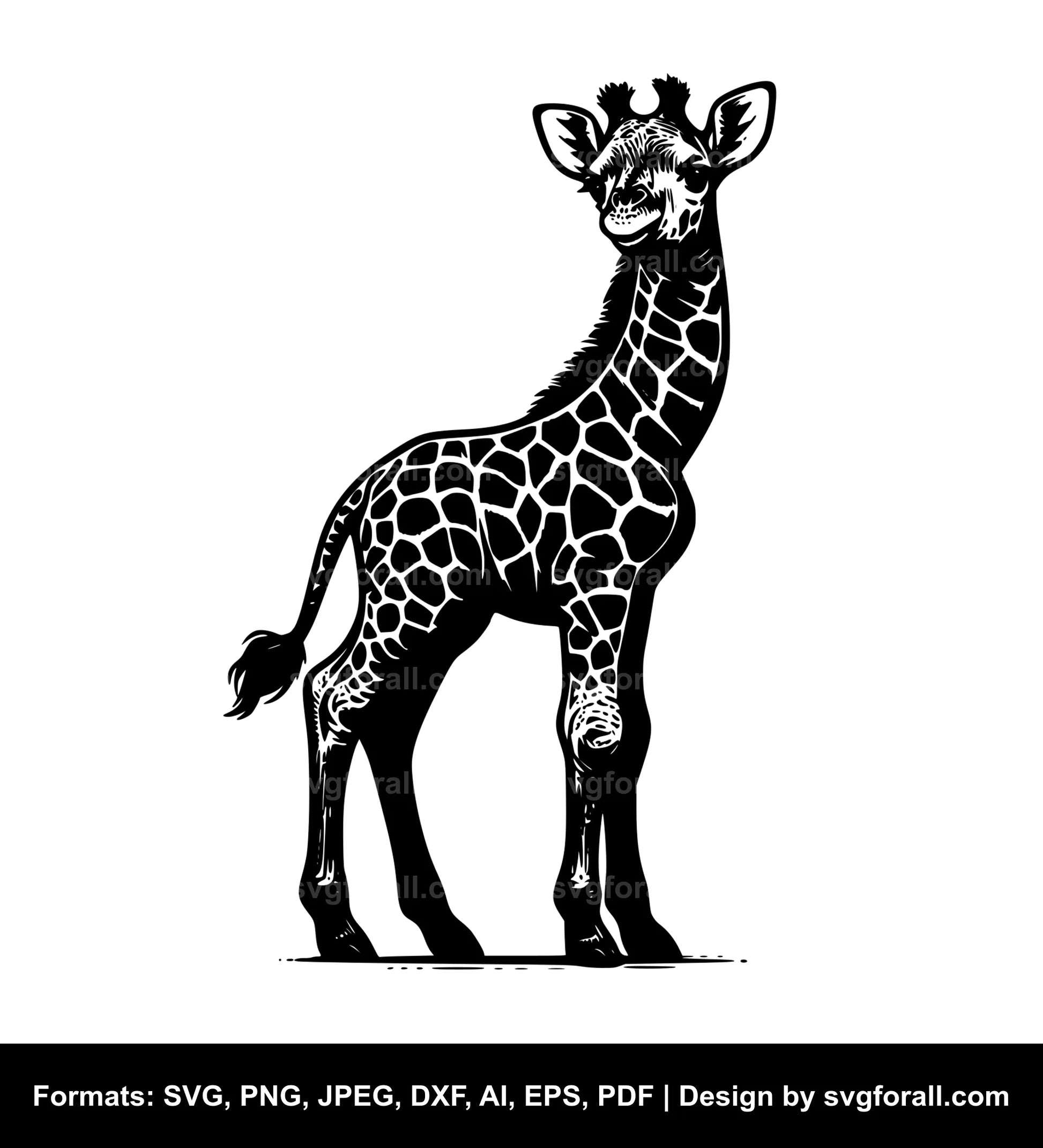 Baby Giraffe Cricut SVG