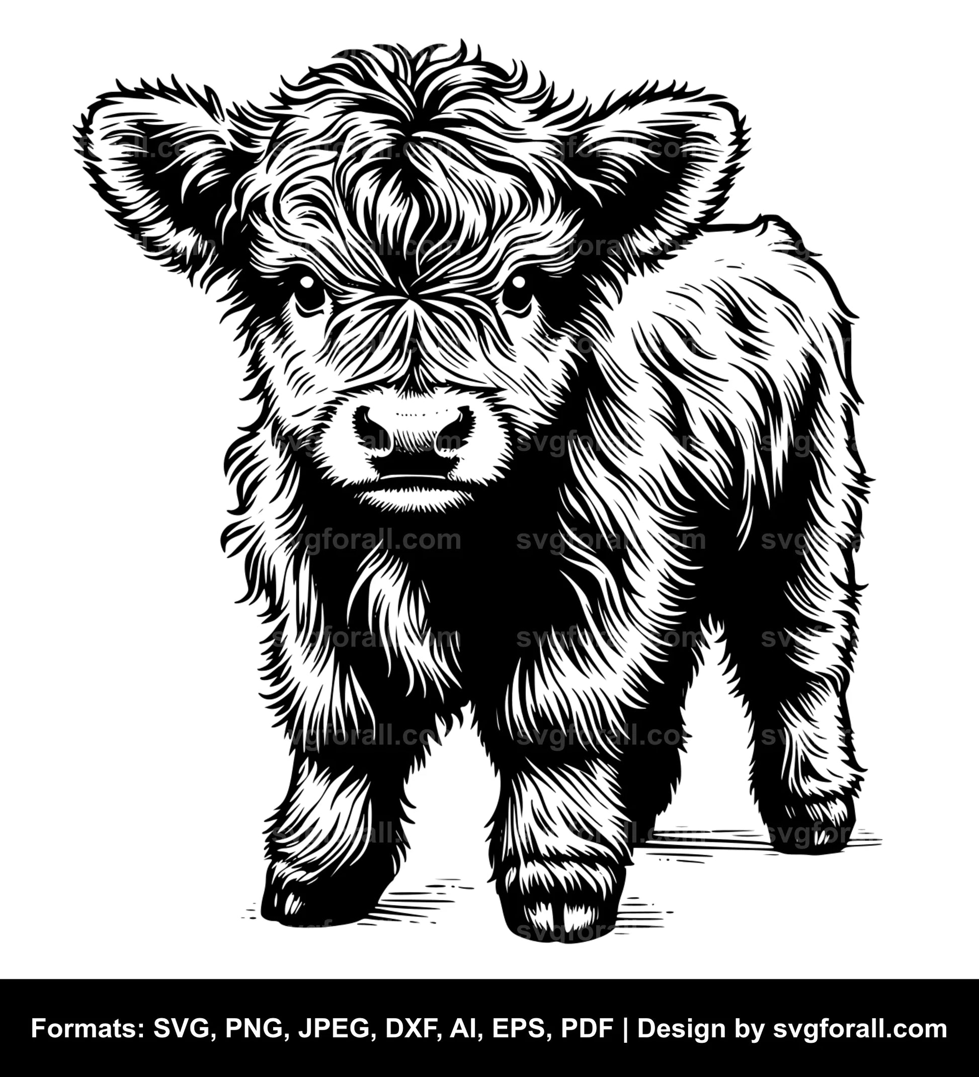 Baby Highland Cow SVG File