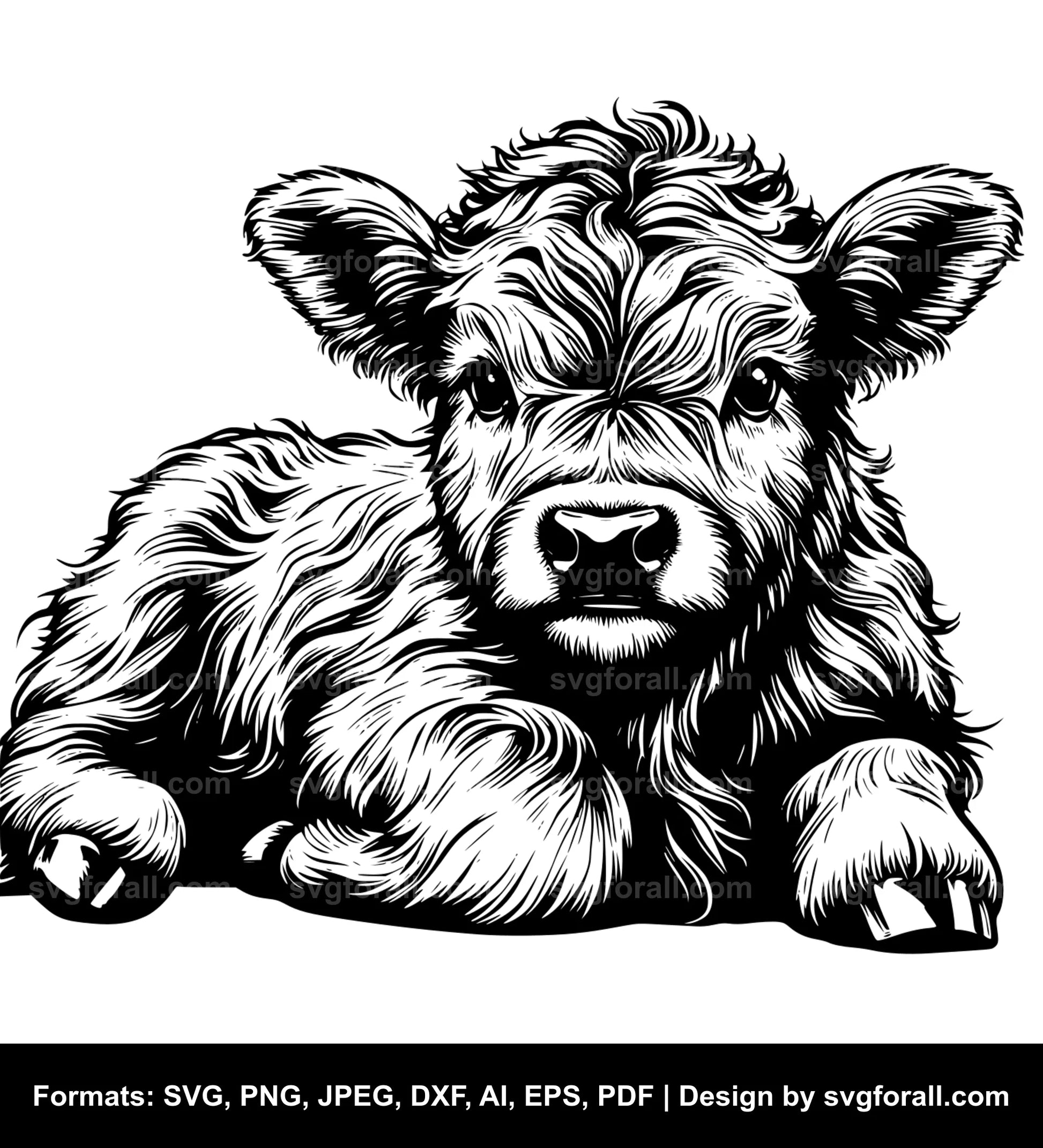 Baby Highland Cow SVG PNG