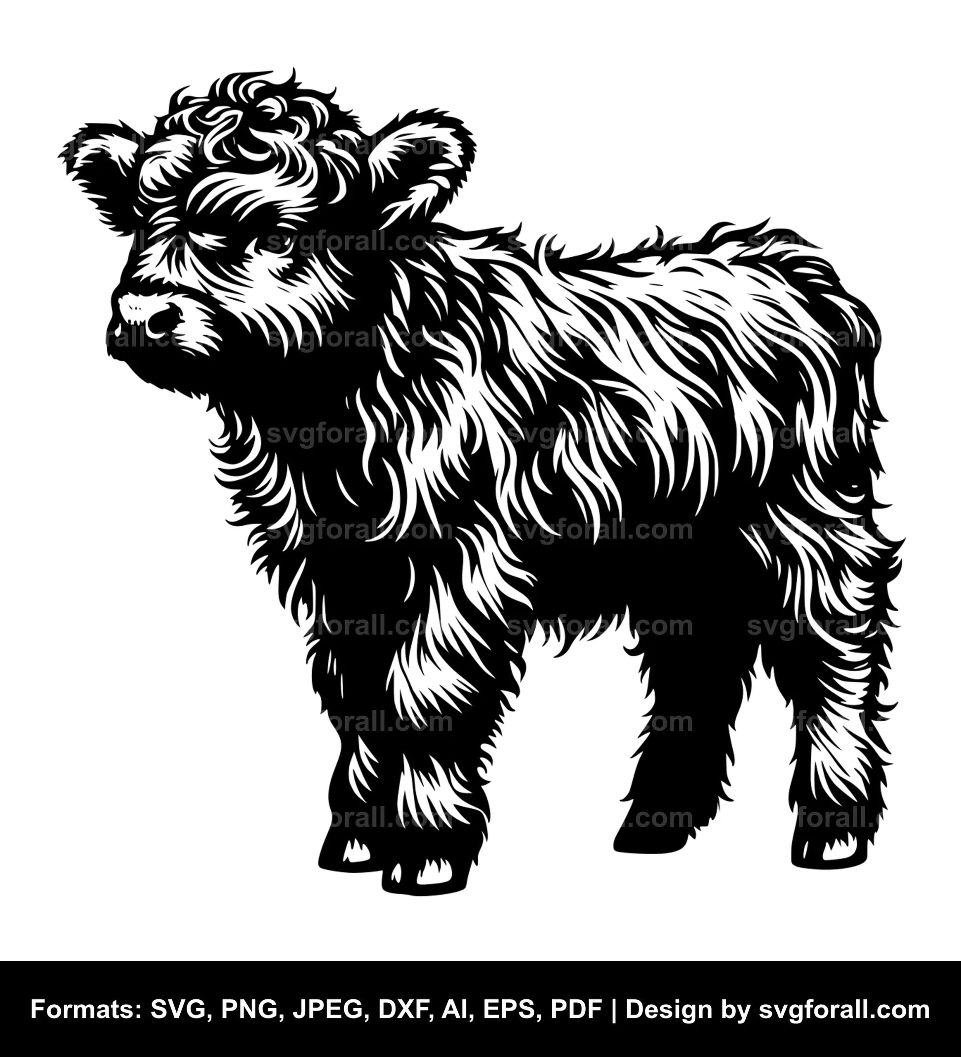 Baby Highland Cow SVG Vector