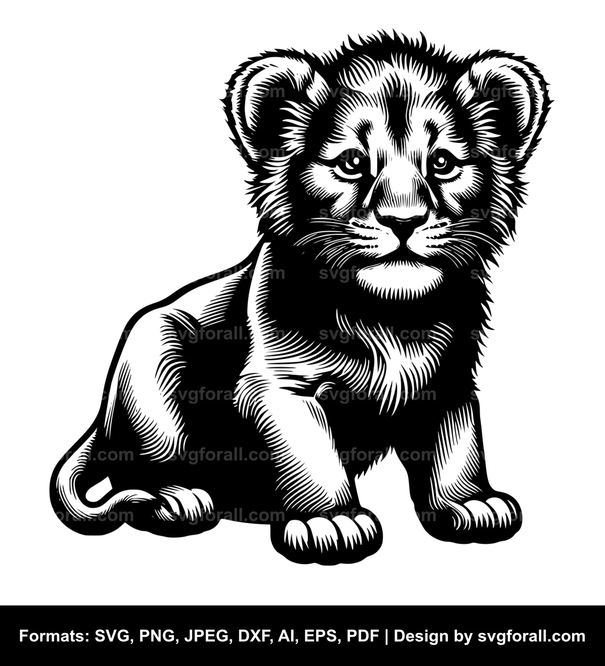 Baby Lion Clipart SVG