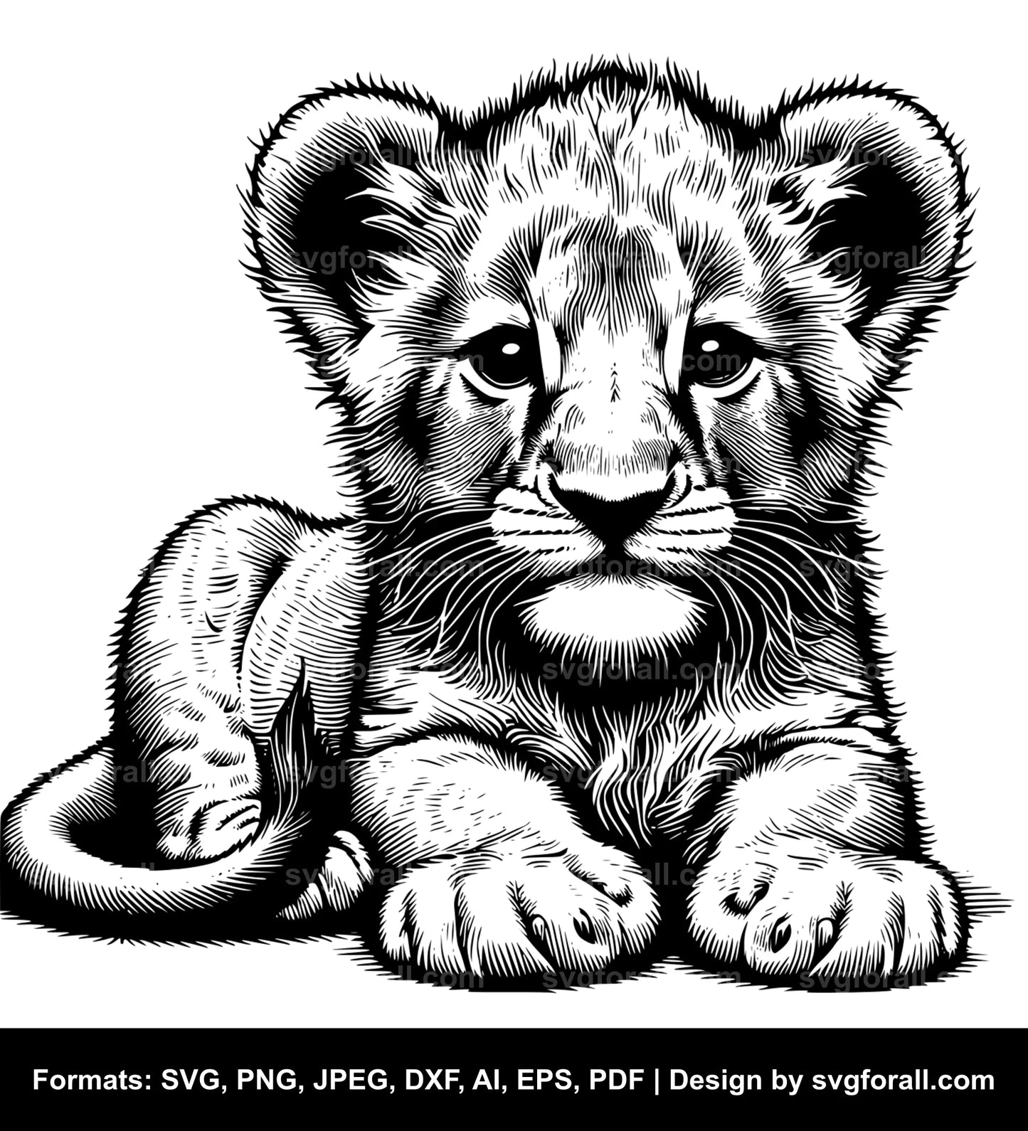 Baby Lion SVG File