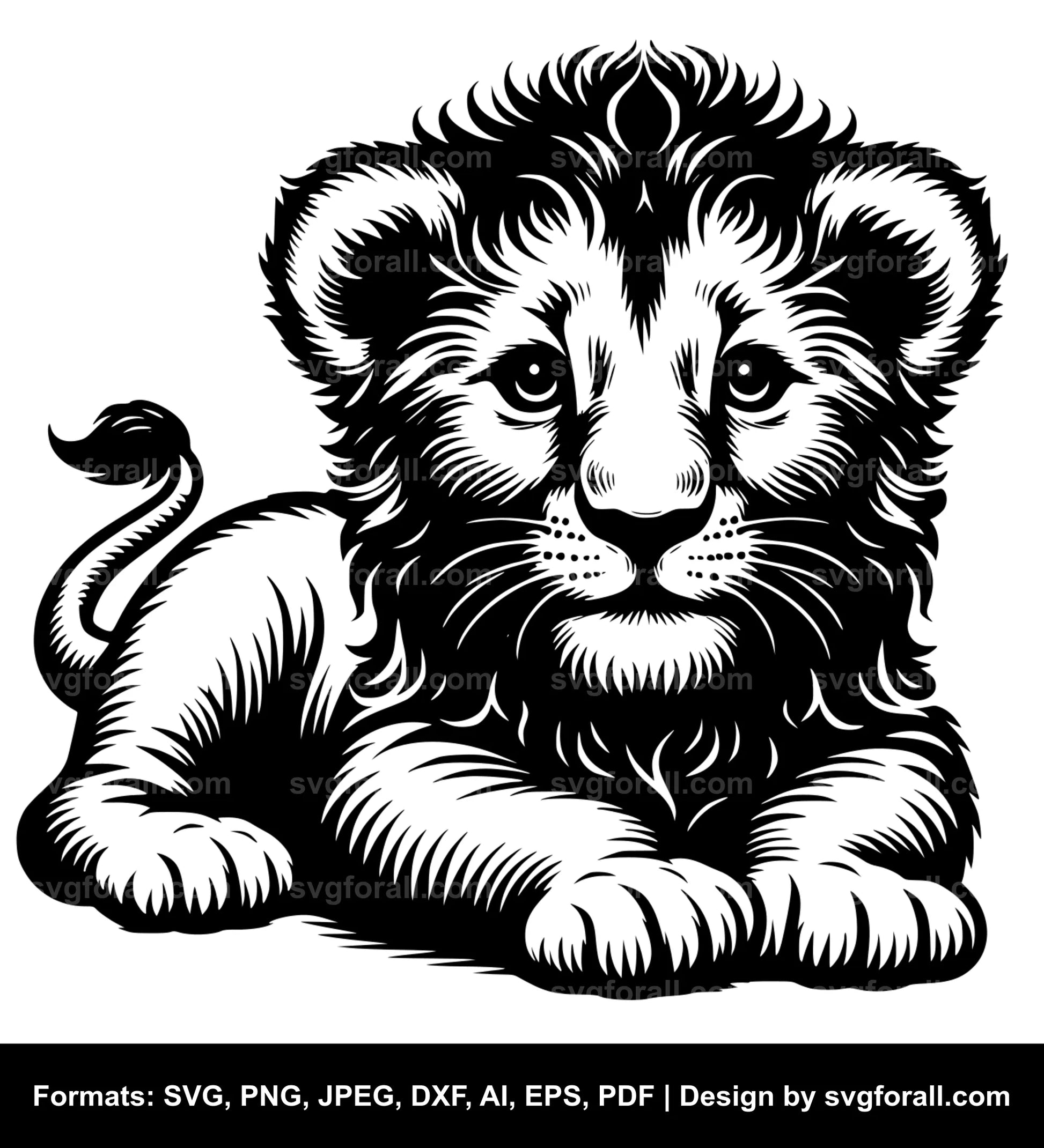 Baby Lion SVG PNG