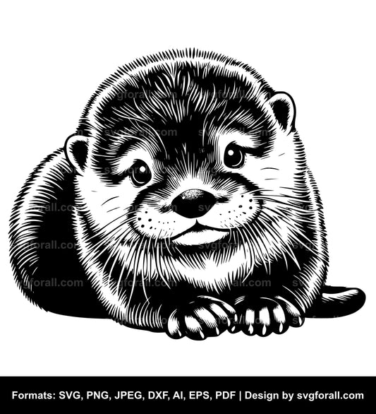 Baby Otter SVG PNG