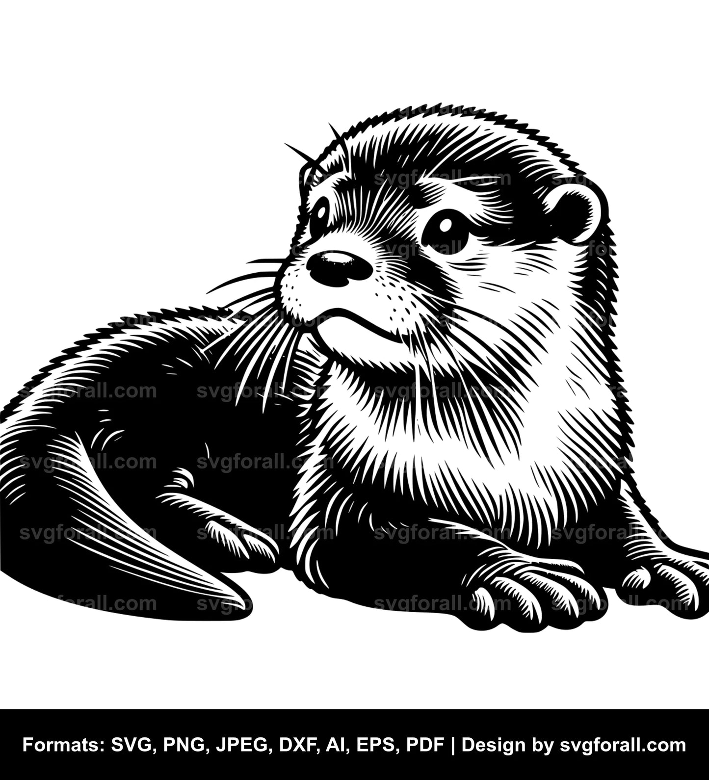 Baby Otter Vector SVG