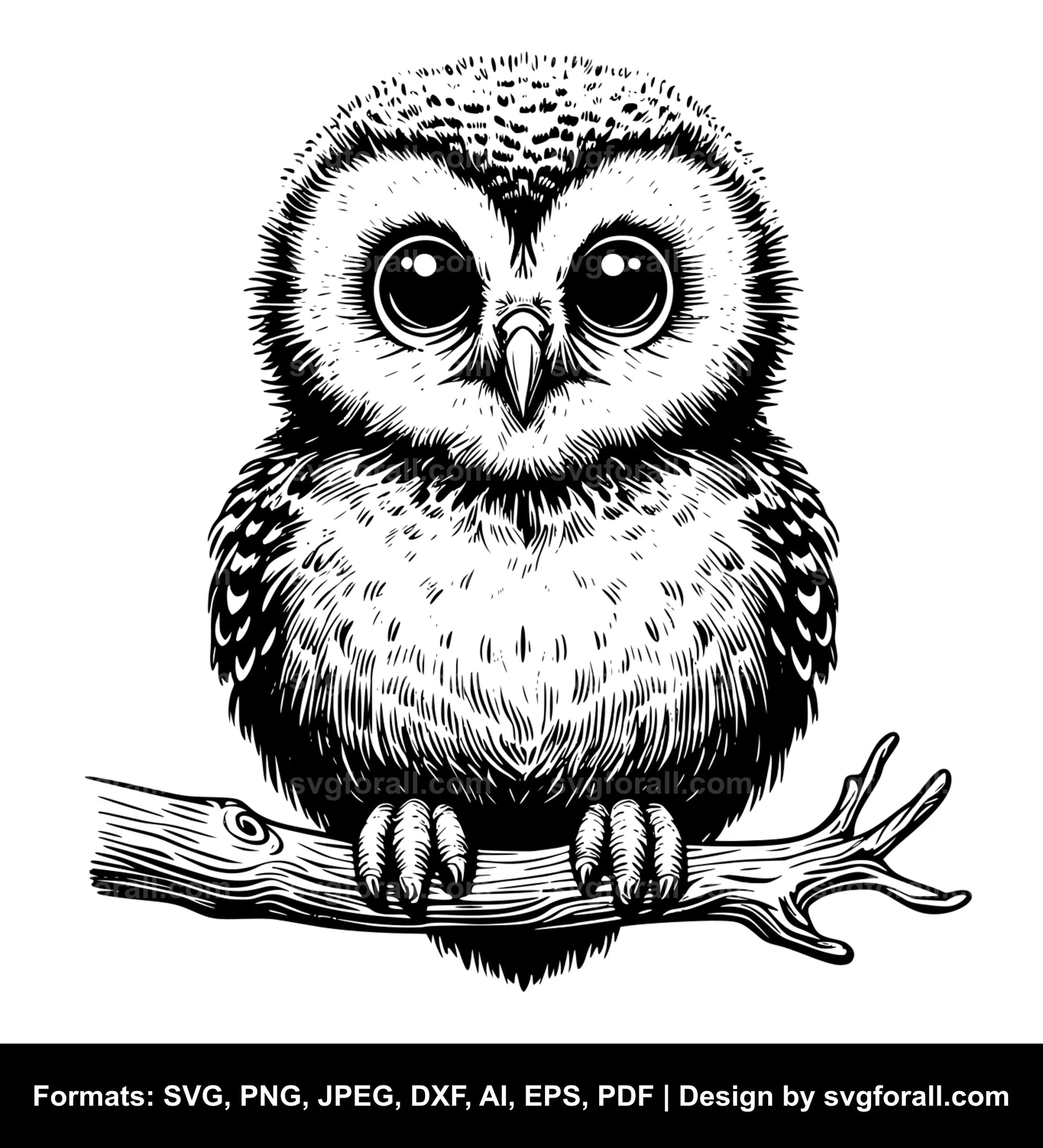 Baby Owl SVG Design